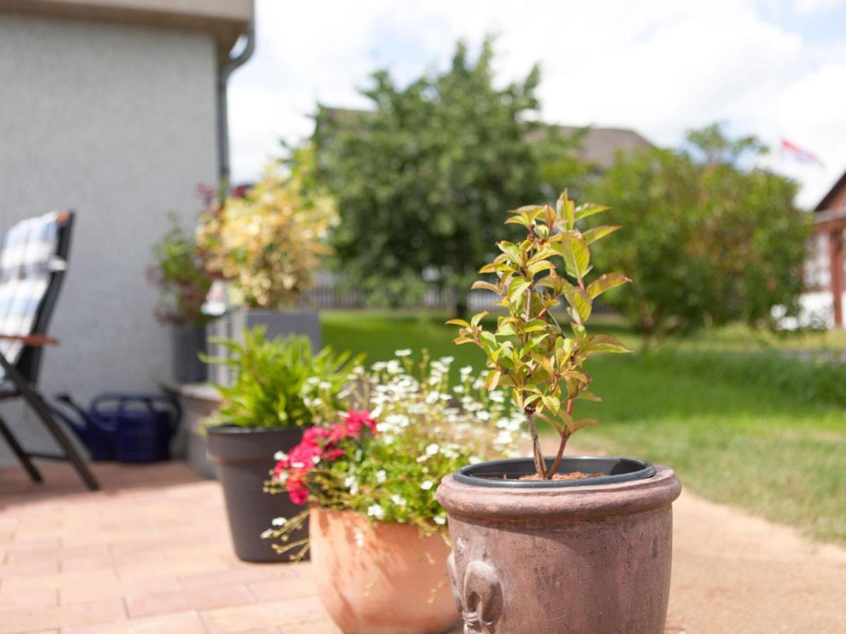 Sunny Flat In Bad Driburg With Garden Appartement Buitenkant foto